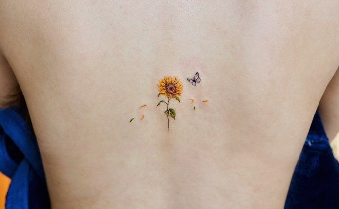 c3e98d9bdbbb3e21eaa065d630baef2c