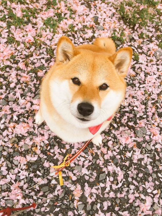 f3cf6c4d6327a83f36d110f83377b020