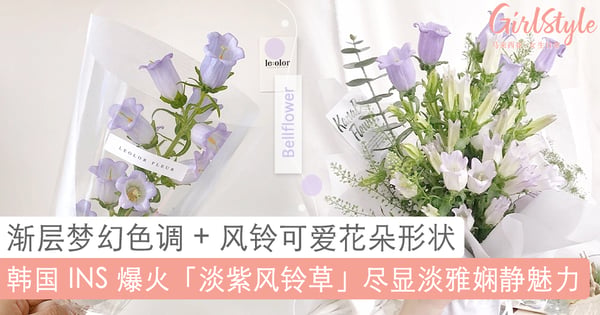 花语:一生只爱你一个!? 风靡韩国「淡紫风铃草」,渐层梦幻色调加上风铃可爱形状~美到让人难以抗拒!