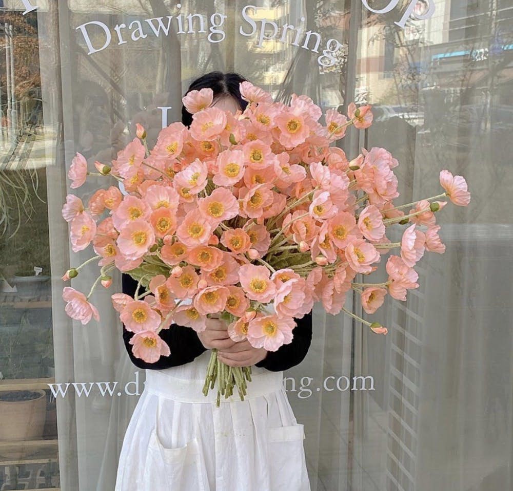 螢幕截圖-2020-04-08-上午1.13.20