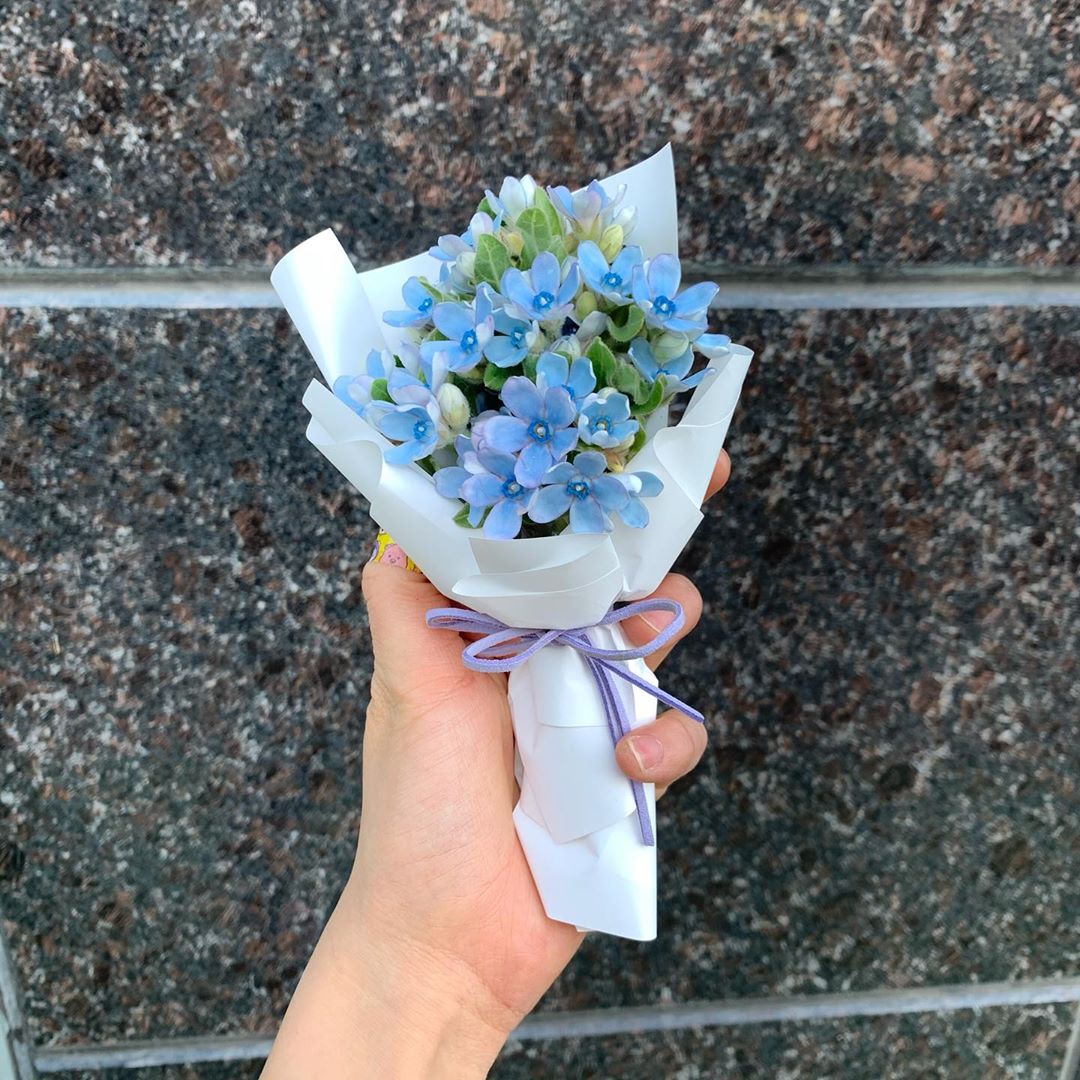 75566981_514341829293209_5644196244588608950_n