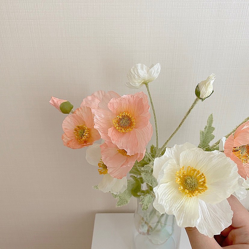 83224470_573118960213303_4597667547456768370_n