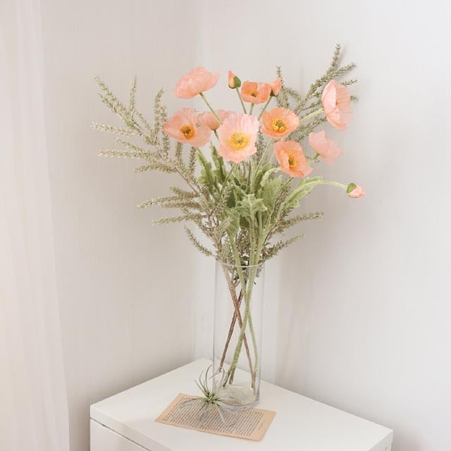 90145290_207516113925421_911049870619323698_n