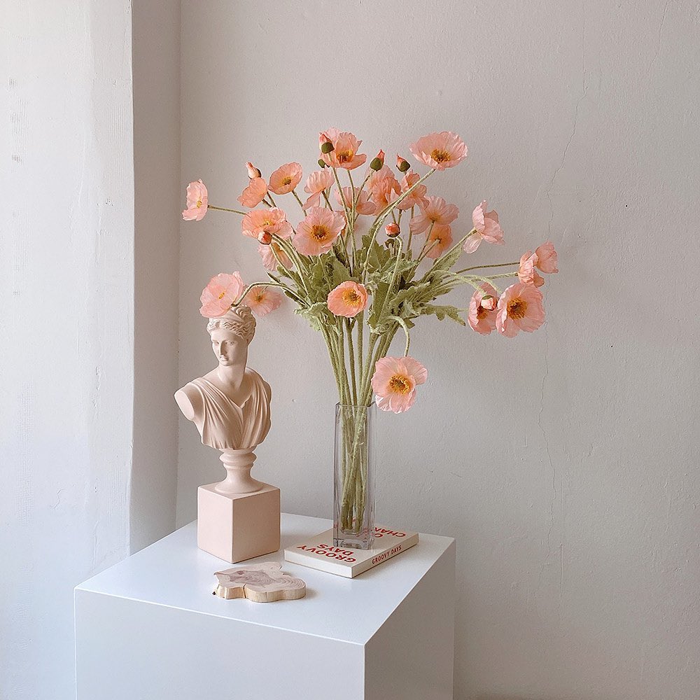 90665657_1419946321499393_4515422973212349004_n