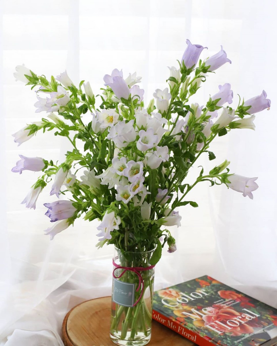 91145237_512971659389481_4583571617975715527_n