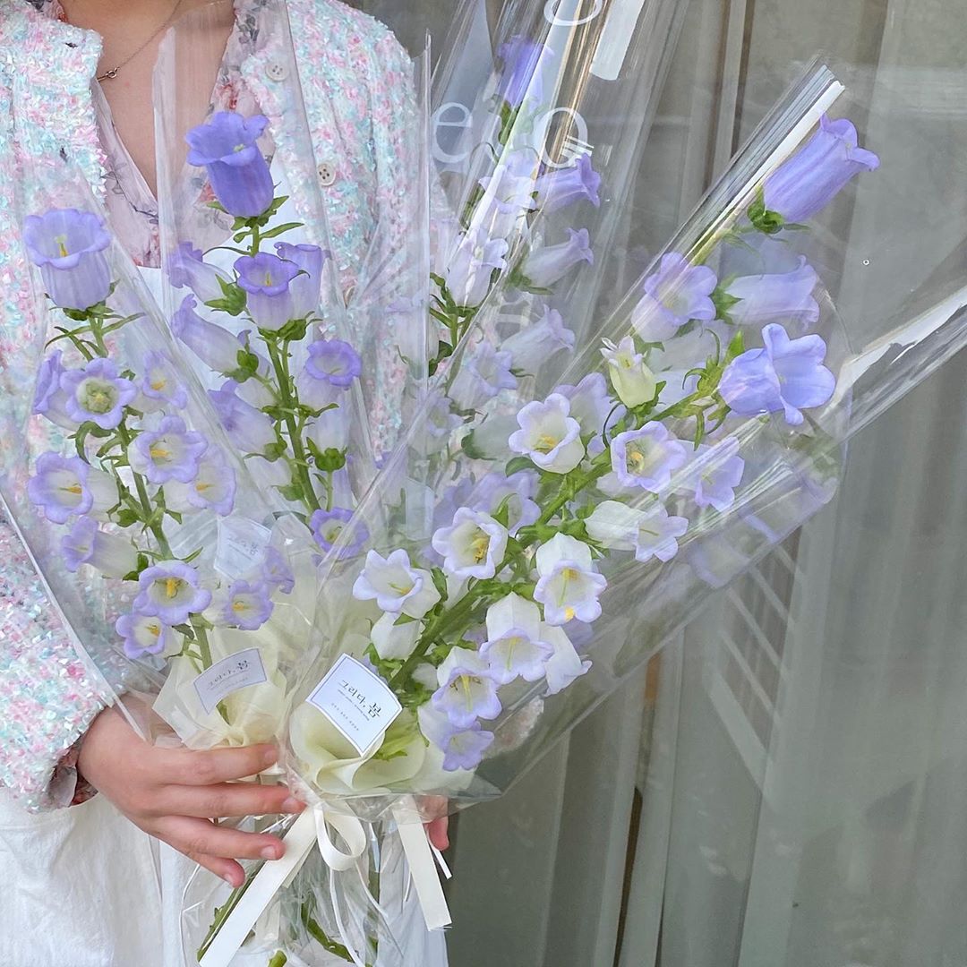 91219640_227753335300206_518283510304997400_n