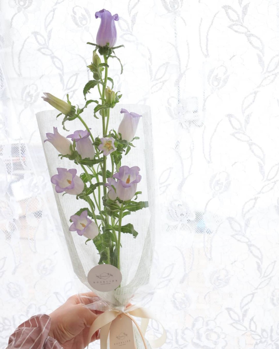 91479077_2755054461216420_5343737331718229617_n