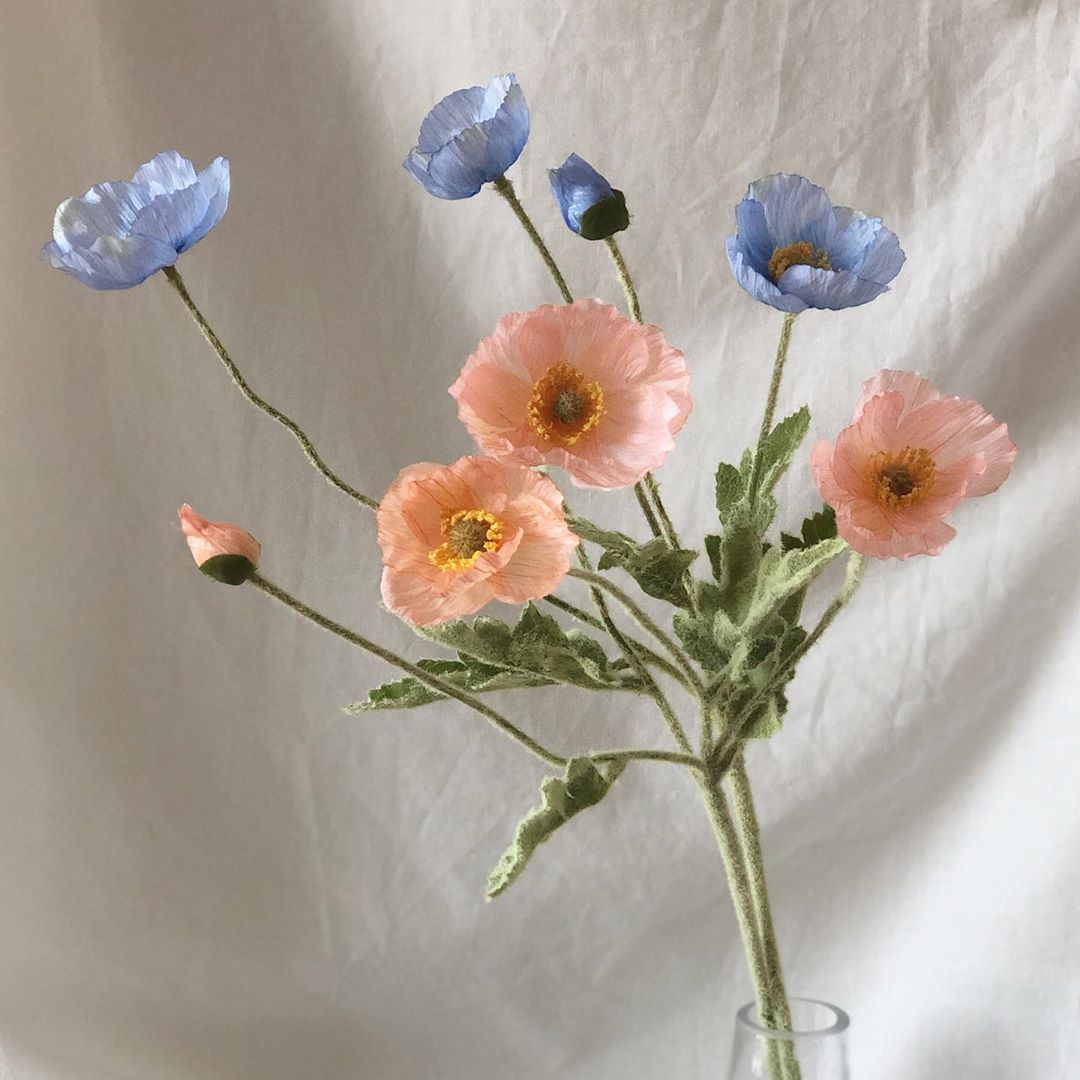 91713181_545232509748792_757549617956315325_n