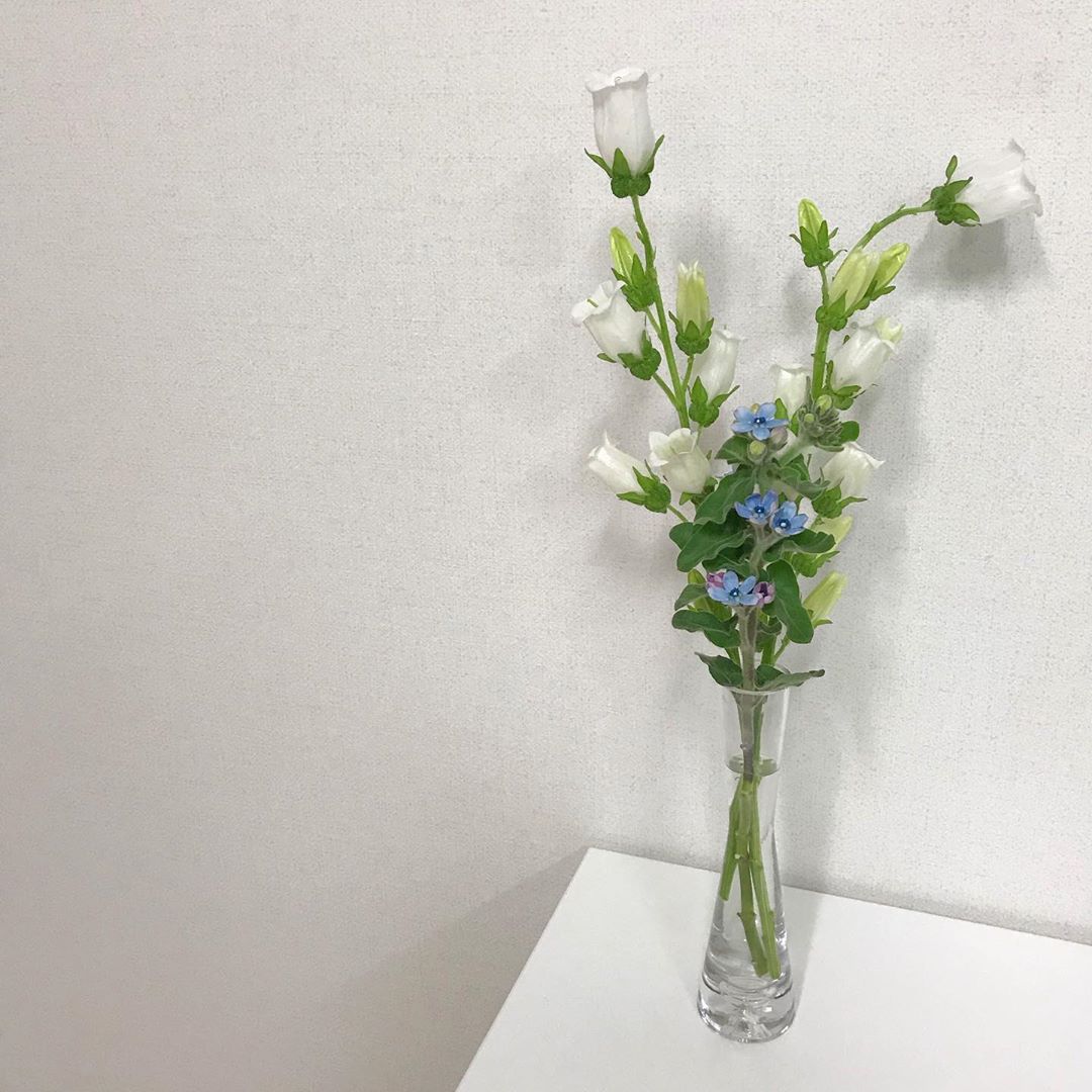 92298279_146272520227753_310884550077494858_n