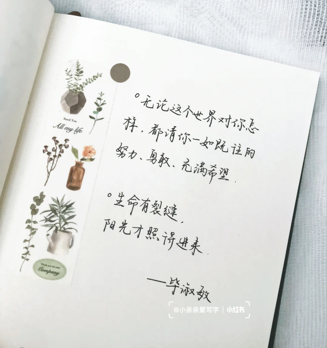 ✨排版书写的方法可以依据自己的想法和创意去做，并不一定要以「日记」、「周记」形式为主；可以依据喜好写下不同的内容。下面来分享一些好看的范例参考～ 语录摘抄