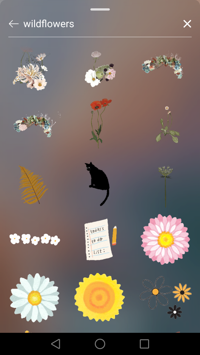 Instagram Stories限时动态GIF关键字:wildflowers