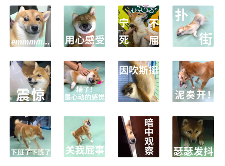 免费WeChat微信表情包：可爱搞怪宠物系列 柴犬齐天第二弹