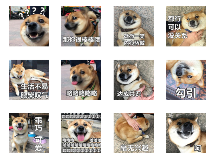 免费WeChat微信表情包：可爱搞怪宠物系列 一只巧克力的日常