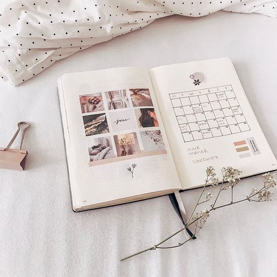 ✨不太会颜色搭配的Girls可以考虑用同色系元素点缀手帐，也很疗愈哟～