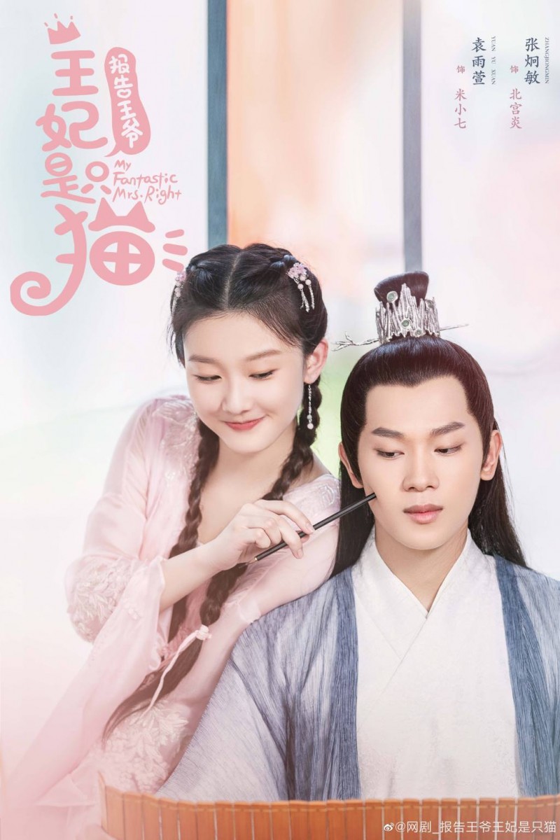 《报告王爷王妃是只猫》| 领衔主演:袁雨萱、张炯敏、陈品延