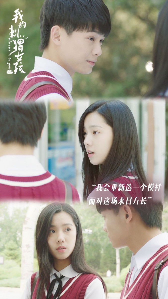 ✨《我的刺猬女孩》| 领衔主演: 李逸男、庄达菲、何泽远
