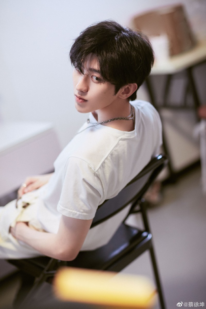 蔡徐坤语录:1、我们现在正在走的这条路,总是从求而不得看是的。 2、其实所有经历的艰难的过程,最后都会变成你们的财富。