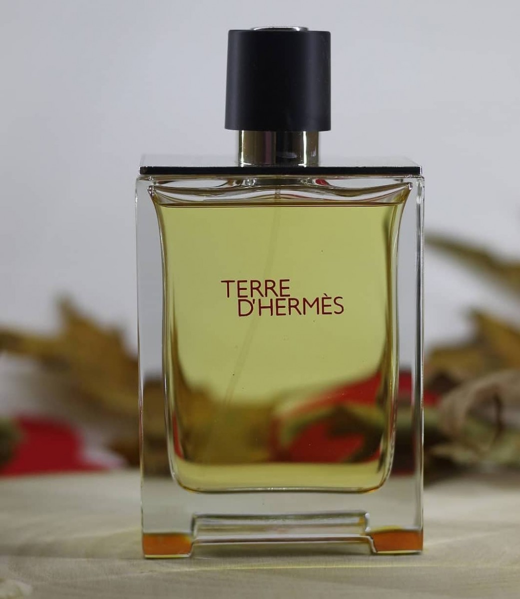 79175605_165795677999119_804839147253607387_n