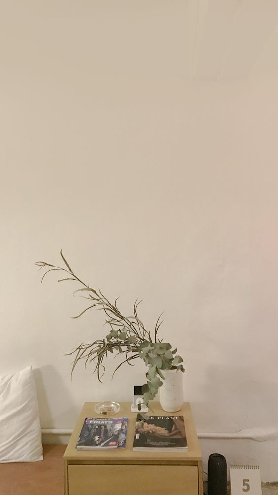 极简系:【韩风WALLPAPER · 室内实景桌布】简约原木色风格韩风家居室内布置