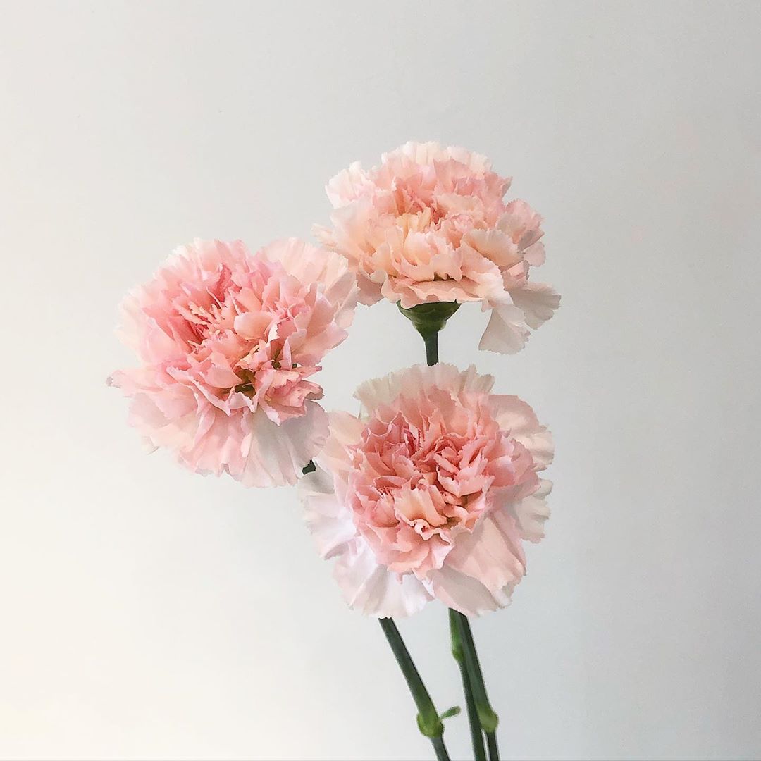 95360328_622648838597753_4503521961119333835_n