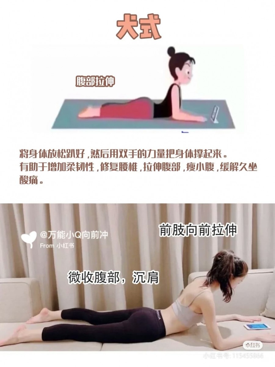 ✨动作(五):犬式 完全没难度的一组动作~身体趴好并有双手力量吧上半身撑起来~这个动作可做腹部拉伸,看似简单却有着有效瘦小腹、解决久坐腰背酸痛的问题。可以多做几分钟让身体好好伸展~