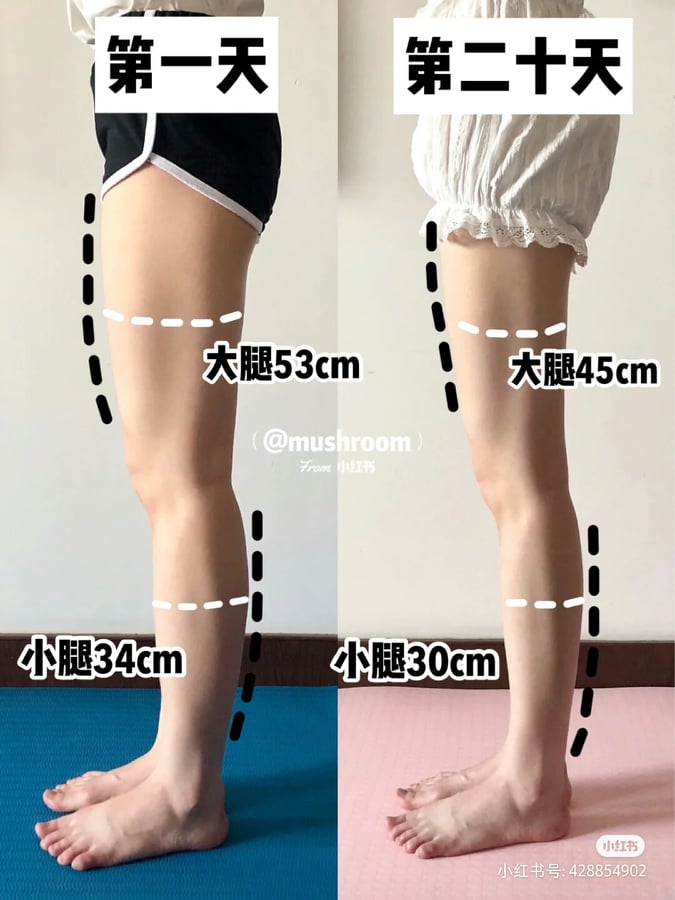 小红书博主分享20天后的显著效果,大腿和小腿围都明显减小了呢? 不会太过暴汗、睡前也可以轻松做的简单拉伸,绝对是最适合懒人一族宅家做的瘦腿运动哟~赶快笔记起来练习GET细长铅笔腿吧!