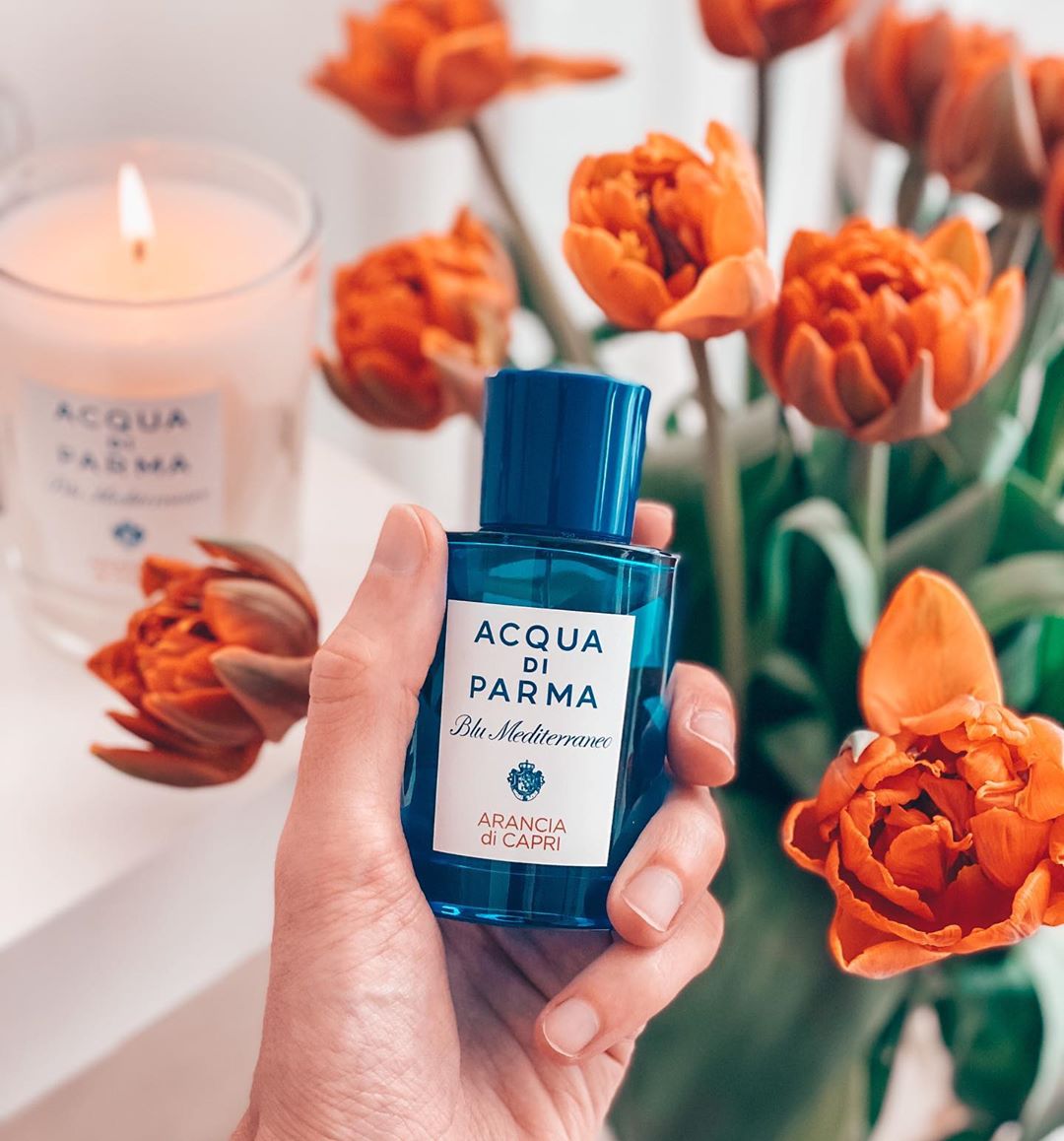 97544763_275206980279453_6634448835085854562_n