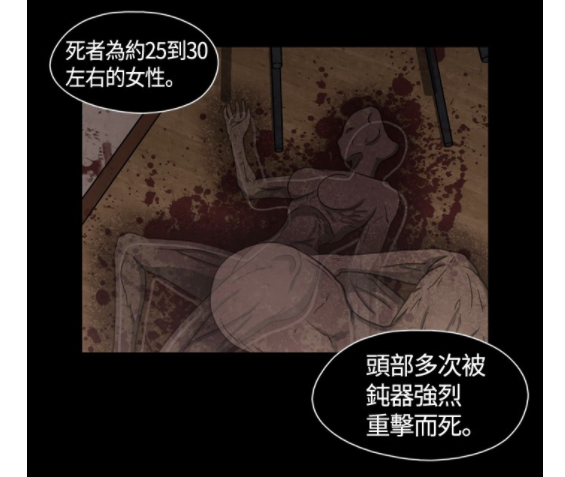 善良亲切的兽医车秀廉身上有着另一个人格 - HOUND,其有着能洞悉常人感受不到的黑暗力量的能力,在案发现场可透过这种特殊能力嗅出诡谲气息,发觉事件背后真相。