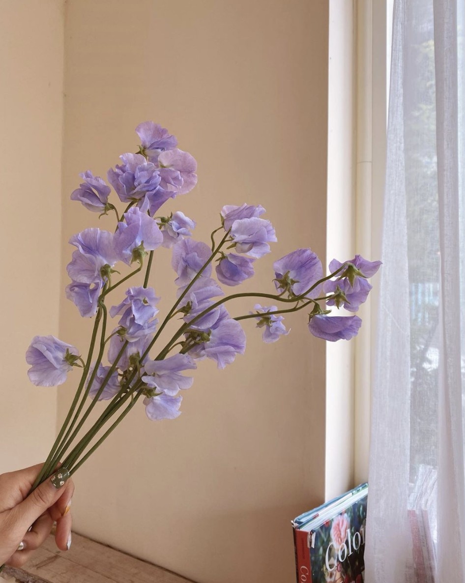 螢幕快照-2020-06-15-下午8.41.20