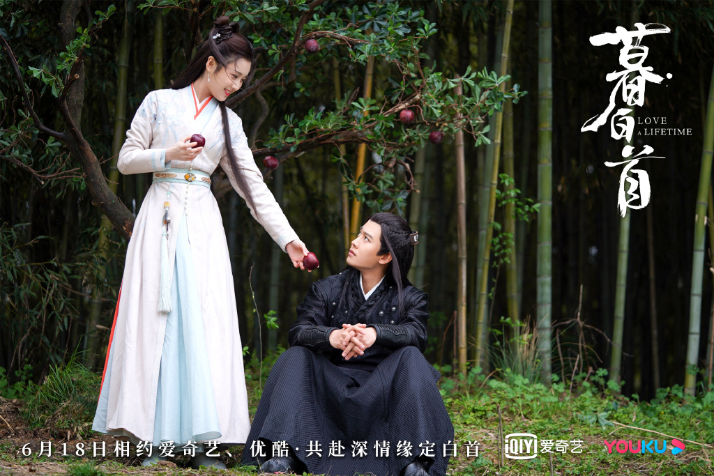 故事讲述女主角「容婳」为帮助父亲奔走四方寻找失落发器,不料江湖险恶让她几度落难,幸得凌虚阁少主「那岚岳」帮助。殊不知俩人之间竟有着千丝万缕的家族仇恨,本想着用真情感化上一代恩怨,但容婳的父亲竟然想再次迫害那岚岳家族。那岚岳也因被传授魔功差点走火入魔。俩人一路相携相伴、并肩作战,齐心对敌许江湖和平。