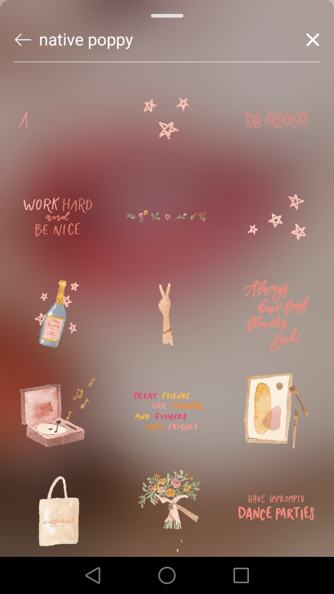 Instagram Story限时动态GIF搜索关键字:? native poppy