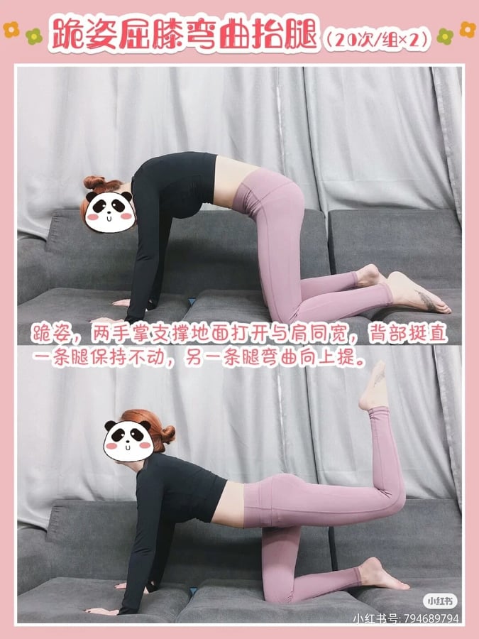 动作(一):双膝呈跪姿、两手之间的距离与肩同宽支撑地面;背部挺直,一条腿维持不动,另一条腿弯曲向上抬起。然后回到原位,再重复动作。一条腿共做2组动作,1组20次。