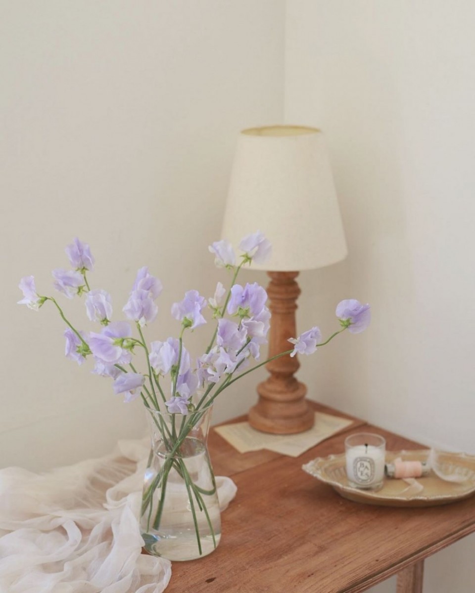 103368460_2625597697759380_679690840959024156_n