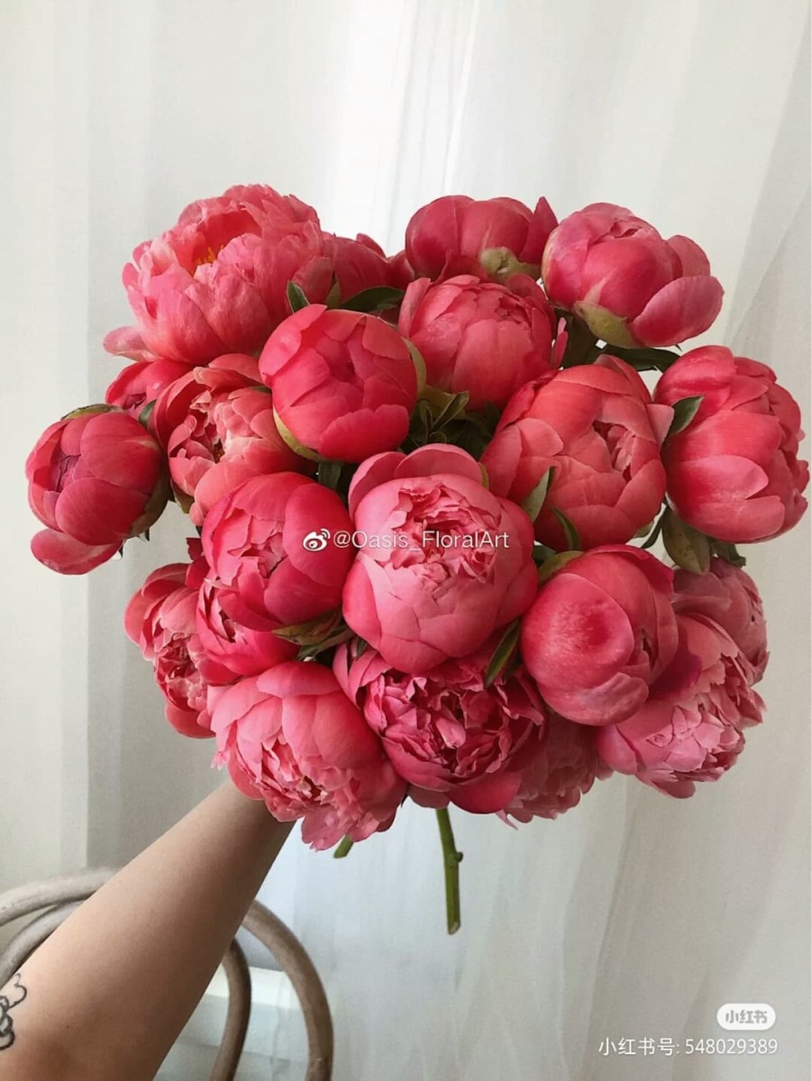 无论是一整束、单株施以其他花朵点缀的迷你芍药花花束都超级唯美有木有? 深红粉色系也美到窒息吖!
