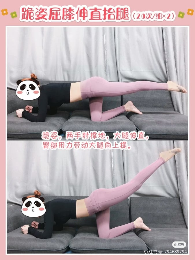 动作(二):双膝呈跪姿、两手手肘之间的距离与肩同宽支撑地面;背部挺直、一条腿维持不动,另一条腿尽力伸直,然后用臀部的力量带动大腿将整条腿往上提至极致。回到原位后再重复动作;一条腿共做2组动作,1组20次。