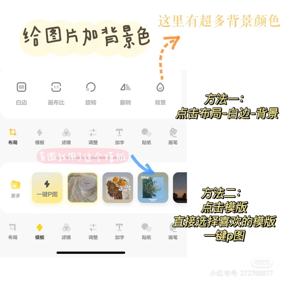 最后可以在【布局】选择背景边框色、【模板】进行一键p图。