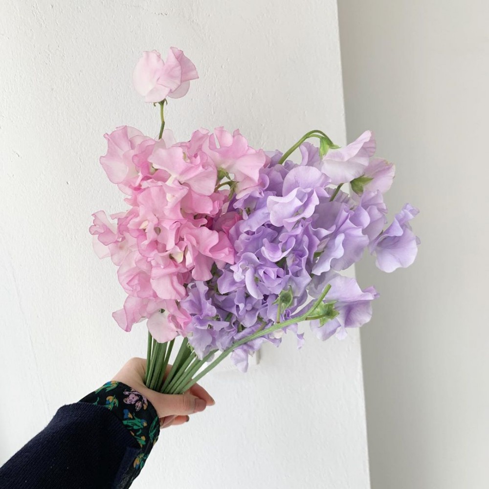 81789201_513793762587738_3957764646166125969_n