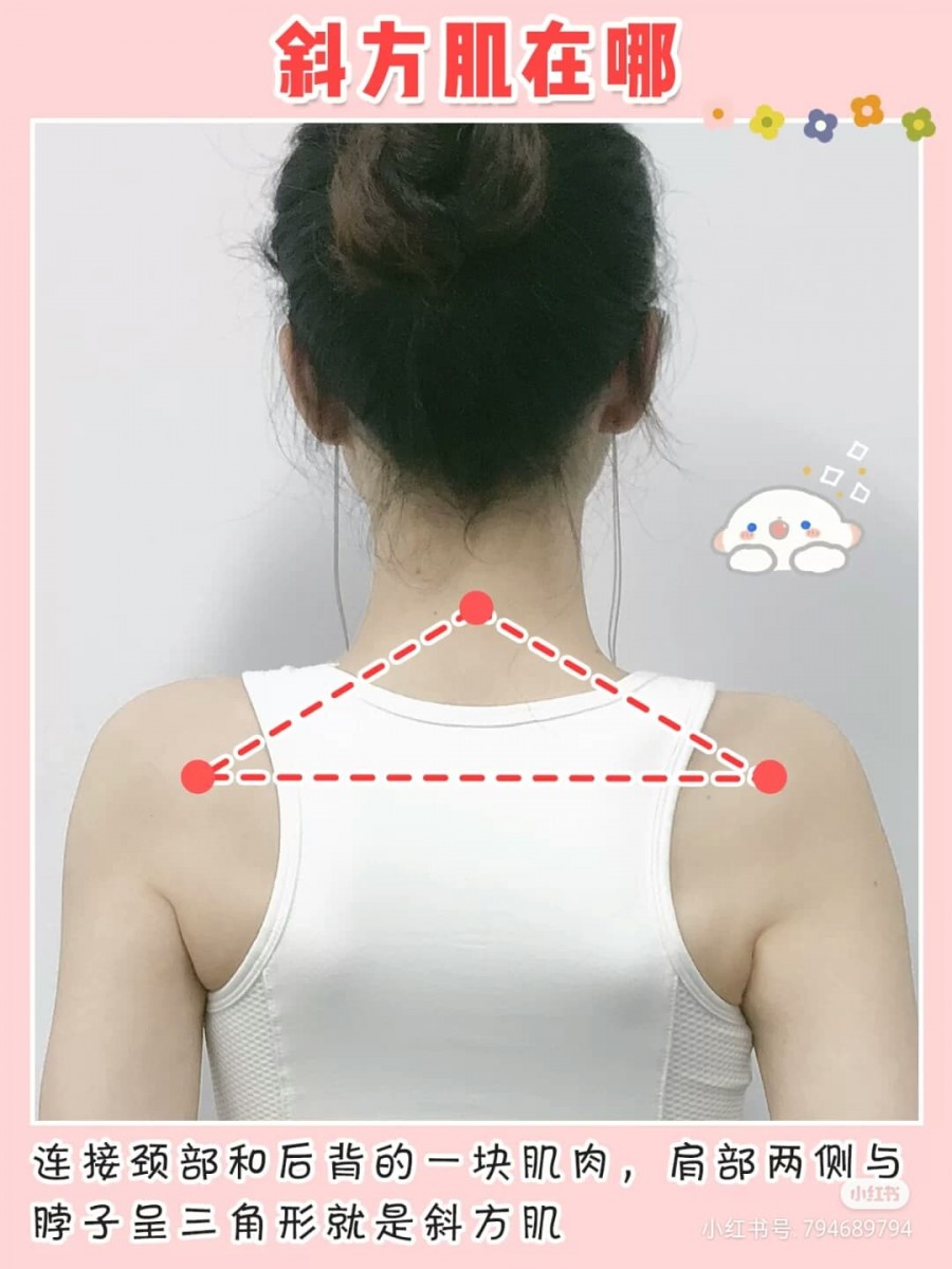 但经常久坐划手机、对着电脑工作,加上平日里的坐姿和站姿不良,都容易导致积成「斜方肌」,显得肩背厚、脖子短。      想要改善体态+穿衣更好看,下面这4组简单伸展动作女生们一定要学起来哟?: