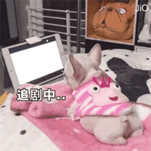 近几年甜宠剧超夯,不少剧本一反以往偶像剧必备的「霸道总裁爱上我」套路,注入了许多新颖、脑洞大开的设定;同时剧中甜甜的狗粮亦多到爆表、暴击少女心,让不少追剧女孩们不禁高呼:「嗑糖嗑上了瘾」!❤️?