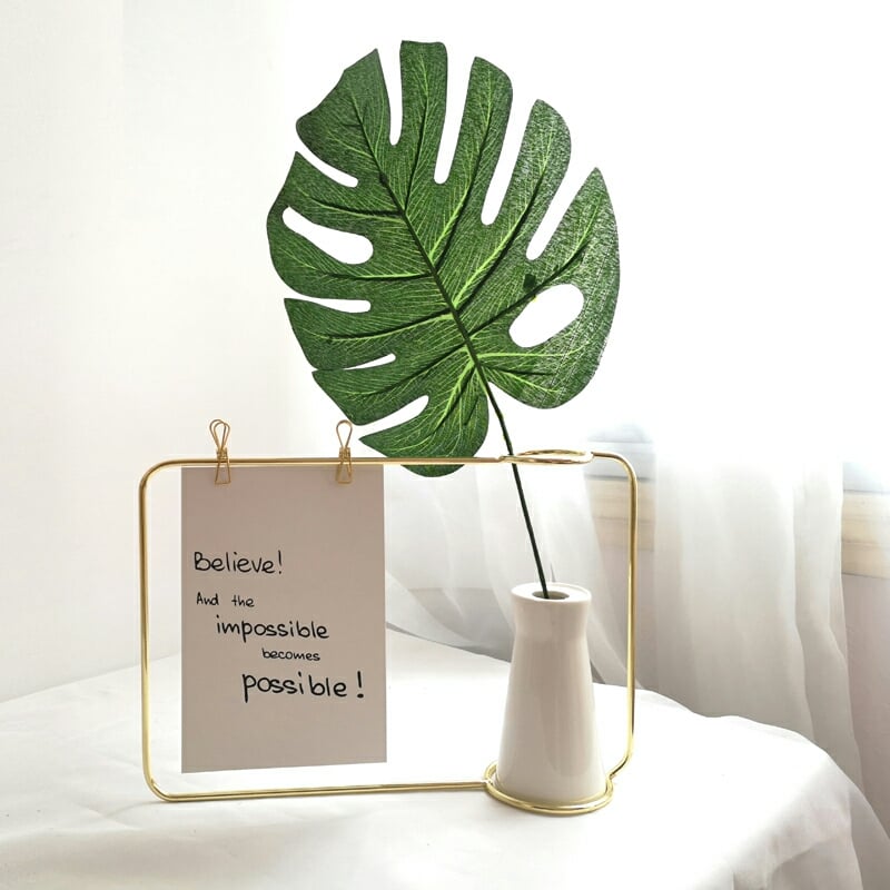 龟背叶绝对是INS风家居布置必备绿植之一!随便插一株在花瓶里、或者置于墙面、网架上都很具美感。