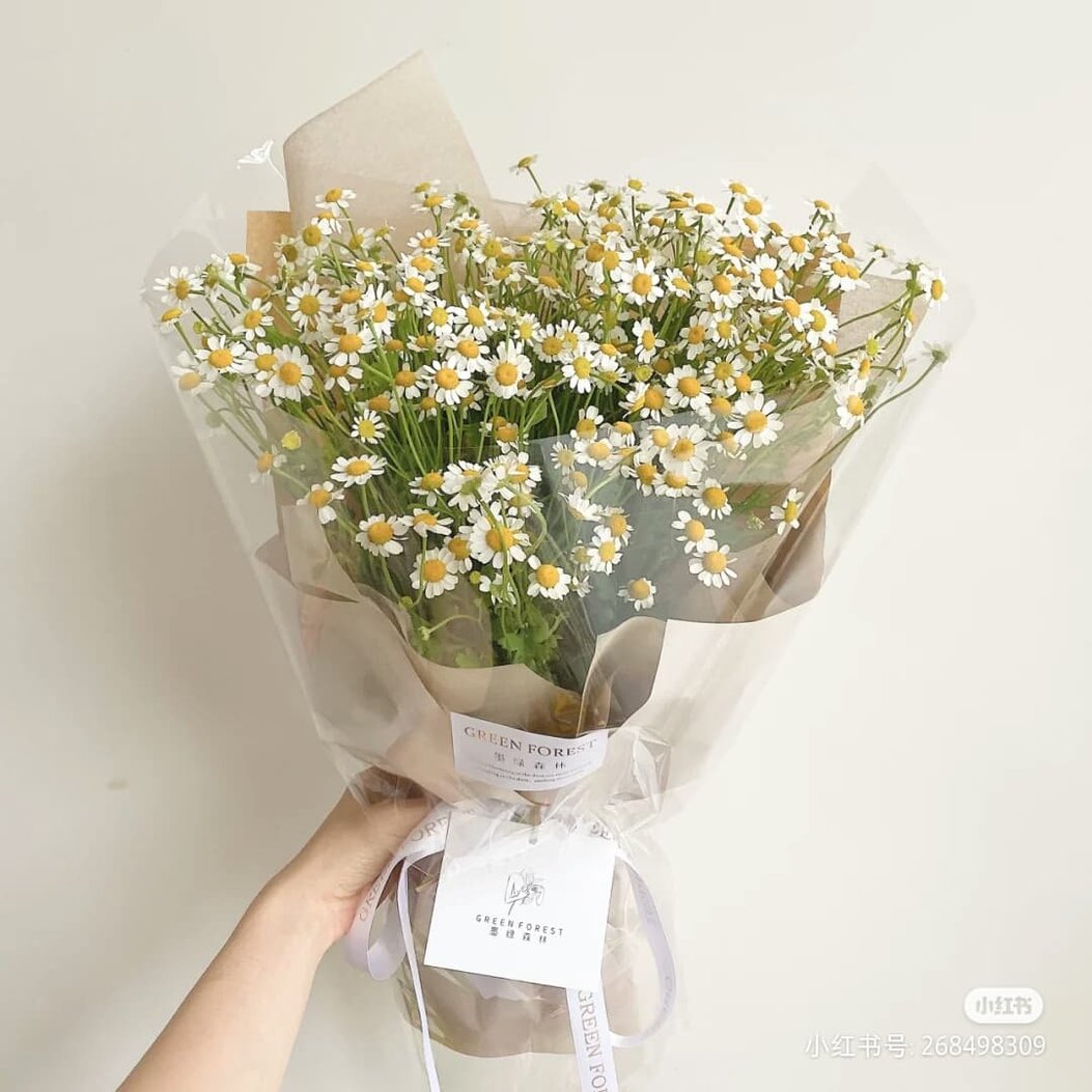 男朋友别只会送红玫瑰 女生最想收到的top 7小清新风花束 向日葵花语浪漫暖心 Girlstyle 马来西亚女生日常