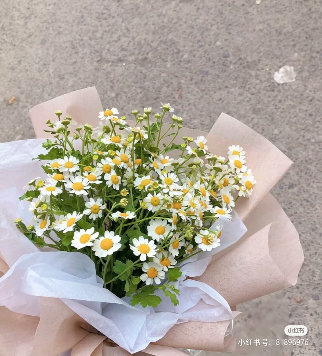 男朋友别只会送红玫瑰 女生最想收到的top 7小清新风花束 向日葵花语浪漫暖心 Girlstyle 马来西亚女生日常