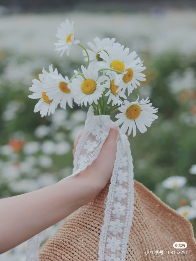 近期小雏菊、洋甘菊等治愈系花束都是女生们的心头好,本季不少时尚单品也都涵盖了雏菊元素呢~除了服饰、鞋履,让清新唯美的小雏菊也「盛开在」十指之间上吧!??