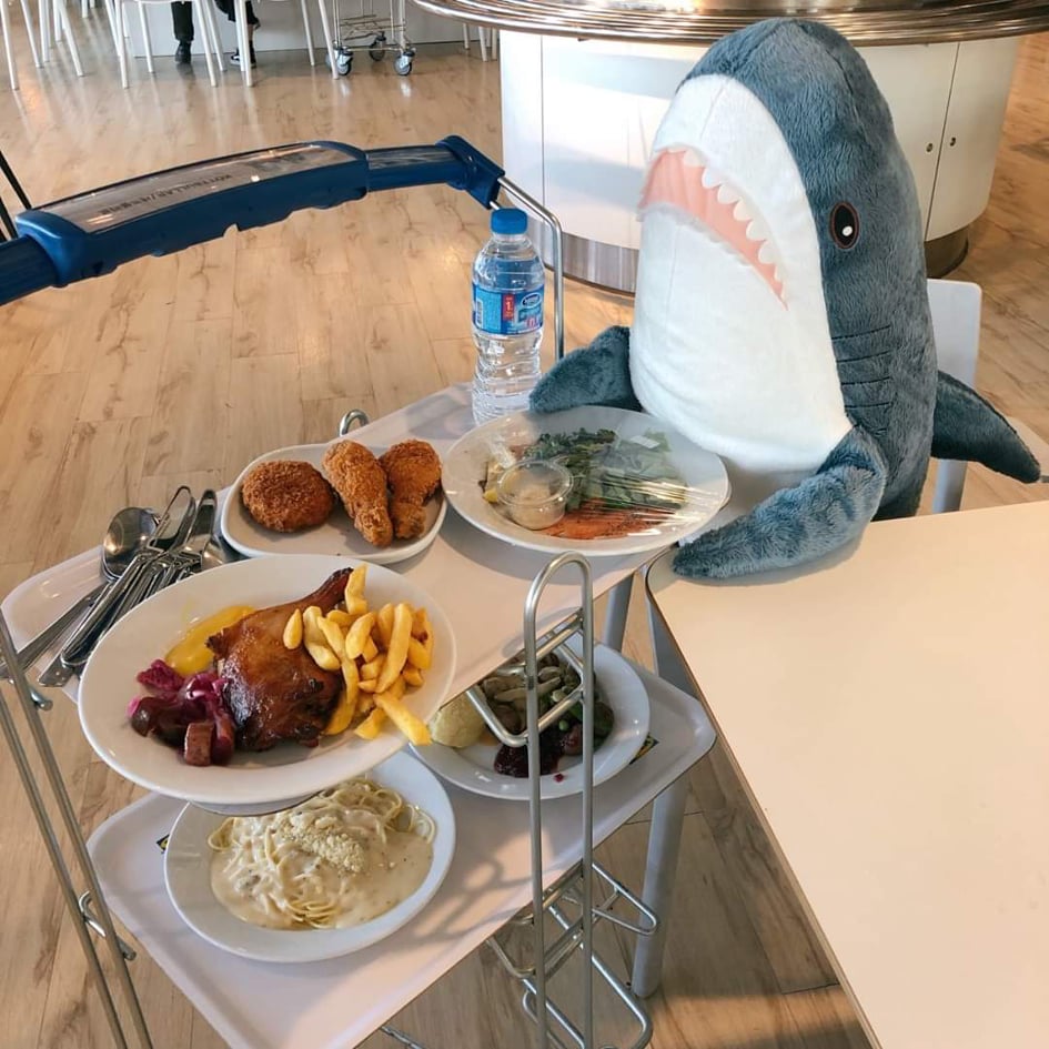 ✨IKEA消费者最爱 · 必买清单✨TOP 1: BLÅHAJ 鲨鱼抱枕 之前小编有推荐过的网红鲨鱼抱枕BLÅHAJ,不仅是顾客票选最爱单品冠军?,也是IKEA员工的私心推荐必买单品!? 又丧又萌的外表、抱起来超软Q舒适,绝对会忍不住想抱一只回家~