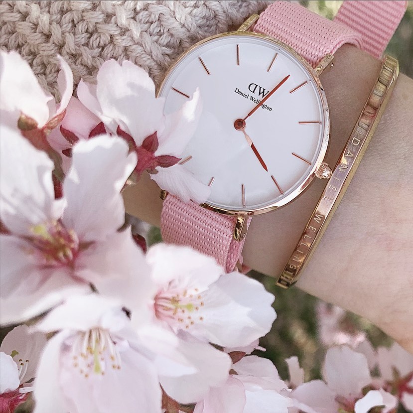 DW 「樱花粉」手表一共有 3 个尺寸可以选择