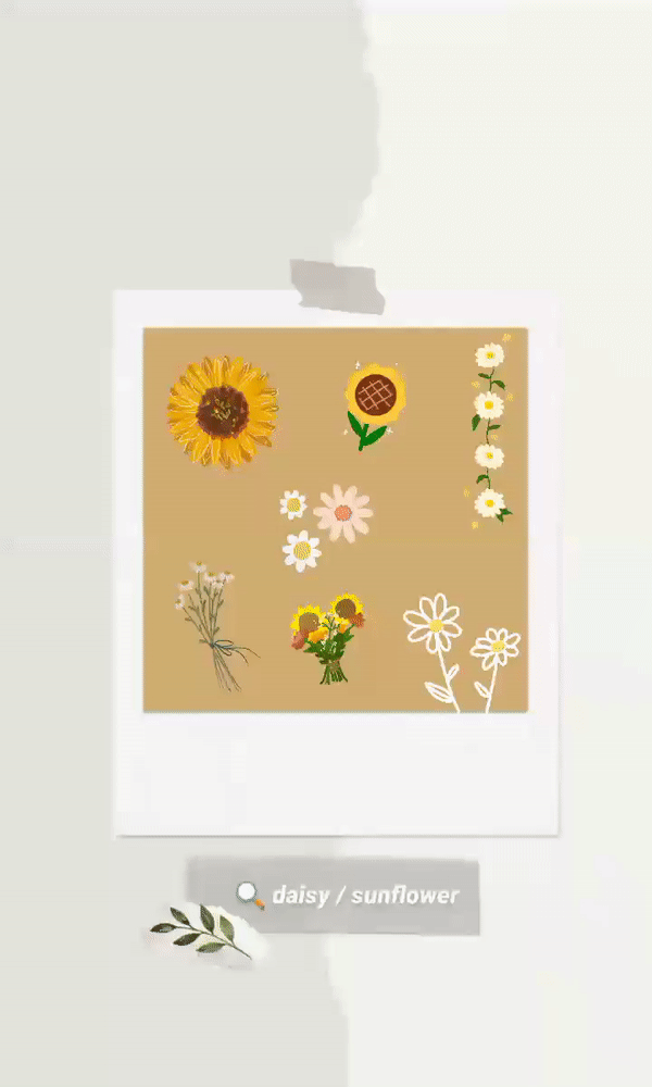Insta Story GIF关键字 ? daisy / sunflower