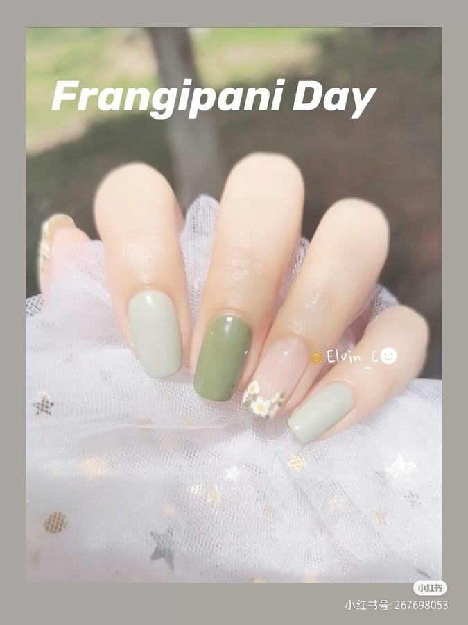 清新绿色系美甲 晶莹剔透的甲面加上一抹清新至极的绿色系,莫名看了觉得超级消暑的说!无论是翡翠玉色泽、葡萄绿色泽都特别有高级感,乍看很有清凉水果气泡饮料feel的说~