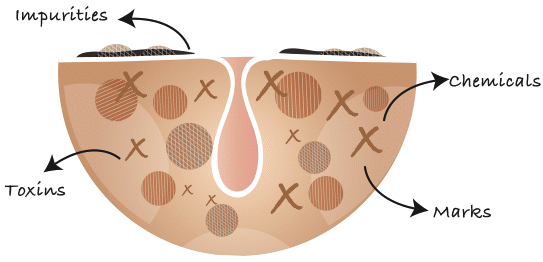 STEP 3 :双重排毒按摩精华 Dual-Detox Emulsion 把表皮和毛孔里的脏污清除干净后,后续排毒和养肤双管齐下才能真正达到美颜效果!双重排毒按摩精华可以把深层的毒素排出来,化妆棉擦拭掉的脏污越黑代表肌肤里面累积的毒素越多~除了排毒以外,这款精华还能抓紧黄金养肤时机,给肌肤加强屏障抵抗力~