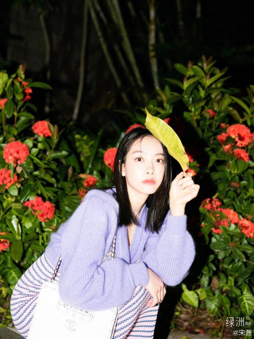 宋茜 2
