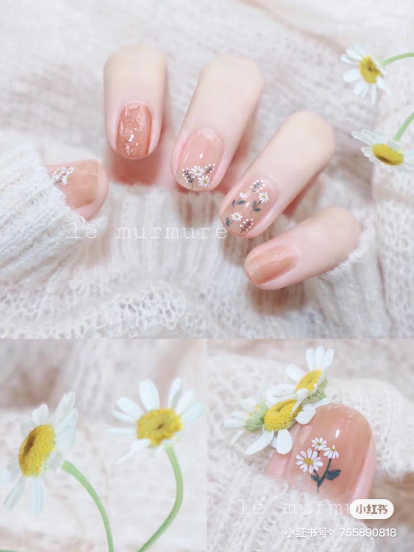 小雏菊